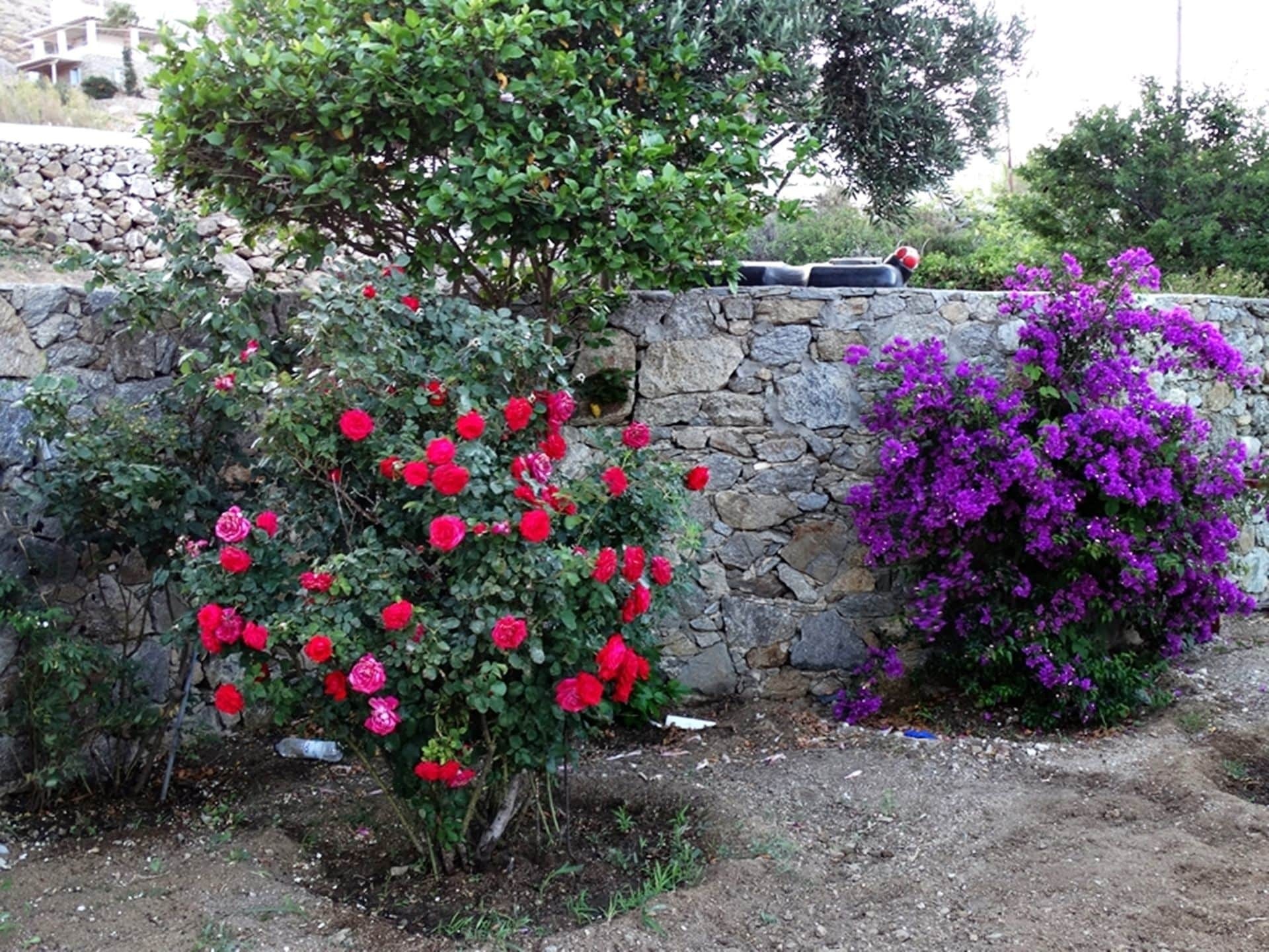 Mykonian Breeze Διαμέρισμα Άνω Μερά Εξωτερικό φωτογραφία